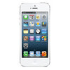 Apple iPhone 5 16Gb white - Калуга